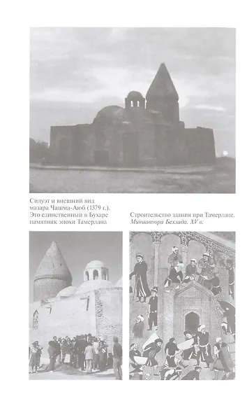 Тамерлан. Ужас мира - фото 8