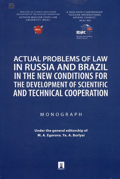 Актуальные проблемы права в России и Бразилии в новых условиях развития научно-технического сотрудничества. Монография - фото 2