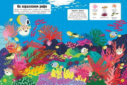 Наша планета в играх и головоломках - фото 8