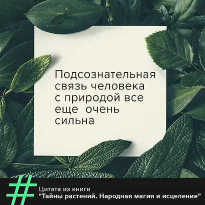 Тайны растений. Народная магия и исцеление - фото 8