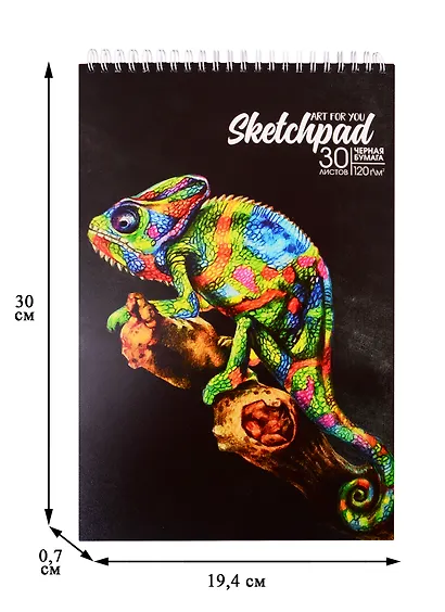 Скетчбук А4 30л Хамелеон черный офсет, 120 г/м2, карт.обл., гребень - фото 2