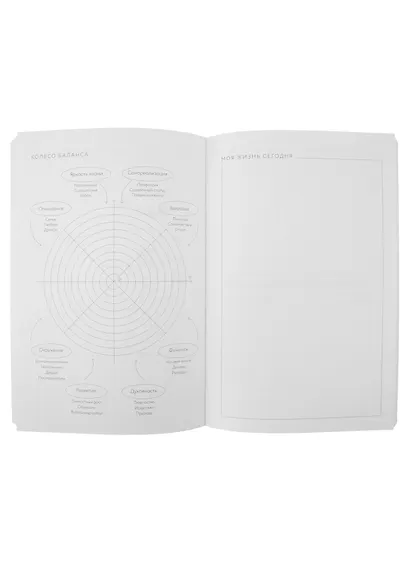 Visual planner: Цели. Мечты. Достижения. Ежедневник (ежевика) - фото 5