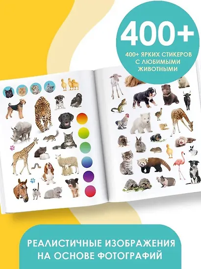 Очаровательные пушистики - фото 3