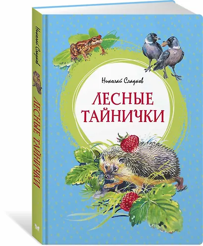 Лесные тайнички - фото 2