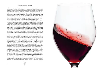 Маленькая книга гурмана. Вино - фото 10