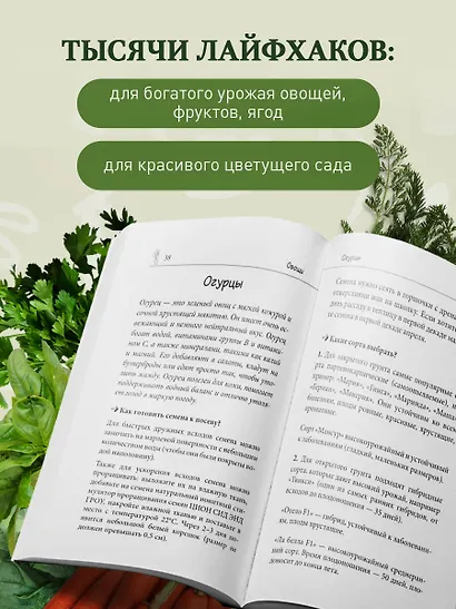 Дачные секреты Октябрины Ганичкиной. Самые полезные советы для садоводов и огородников - фото 6