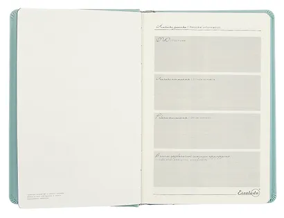 Ежедневник недат. А5 160л "Буйвол" мятный, бежевый, кожзам, тв.переплет, блинтовое тиснение, офсет, ляссе - фото 4