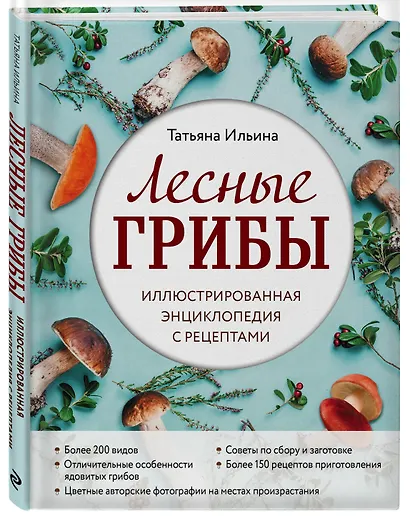 Лесные грибы. Иллюстрированная энциклопедия с рецептами - фото 3