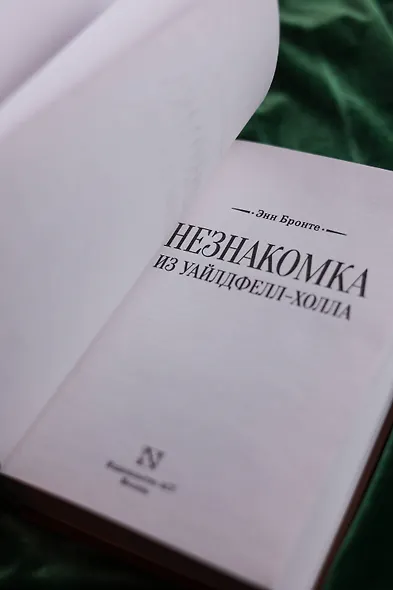 Незнакомка из Уайлдфелл-Холла - фото 6