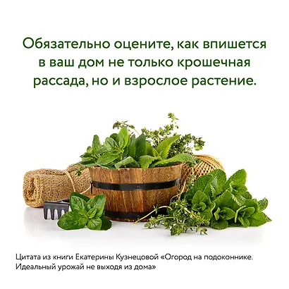 Огород на подоконнике. Идеальный урожай не выходя из дома - фото 10