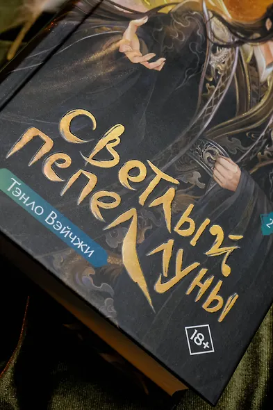 Светлый пепел луны. Книга 2. Новелла - фото 7