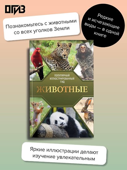 Животные. Популярный иллюстрированный гид - фото 4