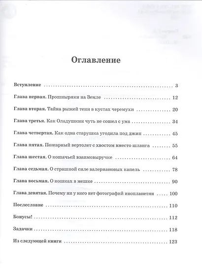 Прошныряки в городе, или Тысяча происшествий за один вечер - фото 2