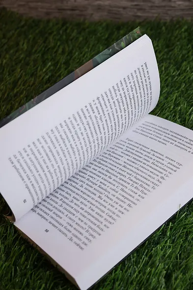 Школа для дураков - фото 12