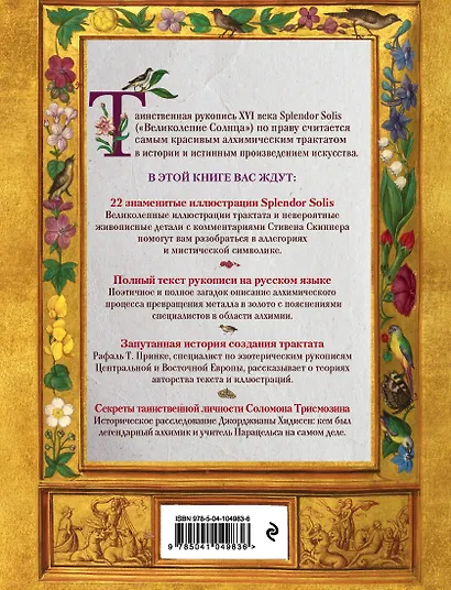 Splendor Solis. Все секреты легендарного алхимического трактата - фото 2
