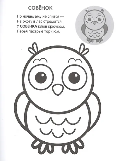 Раскрась по образцу. В лесу - фото 2