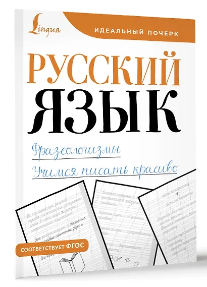 Русский язык. Фразеологизмы. Учимся писать красиво - фото 3