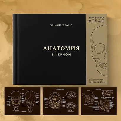 Анатомия в черном. Медицинский атлас для любителей роскоши и стиля - фото 11