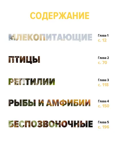 Тайны животных. Большая иллюстрированная энциклопедия - фото 7
