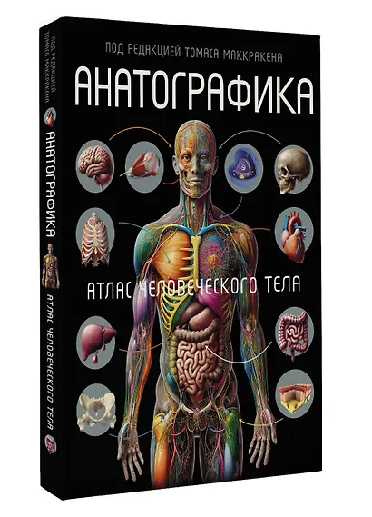 Анатографика - фото 3