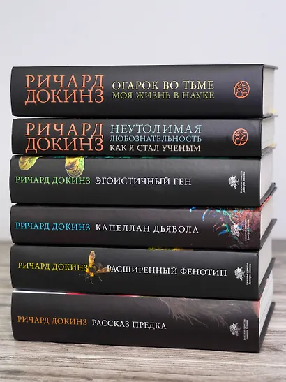 Огарок во тьме - фото 7