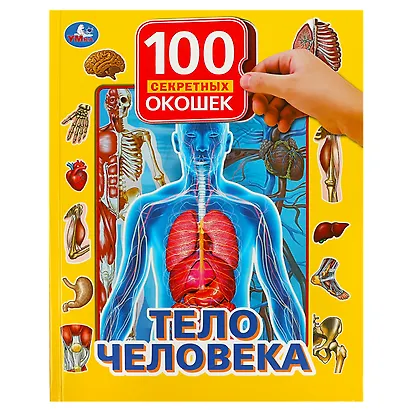 Тело человека - фото 1