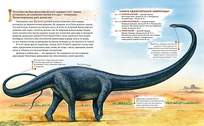 Книга рекордов динозавров - фото 7