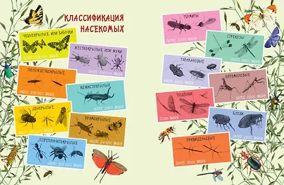 Такие незнакомые эти насекомые - фото 2