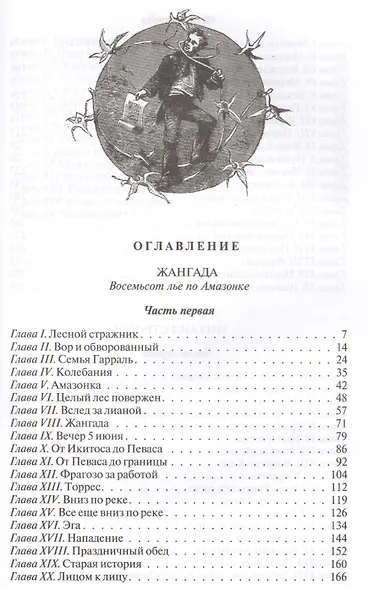 Жангада. Михаил Строгов - фото 2