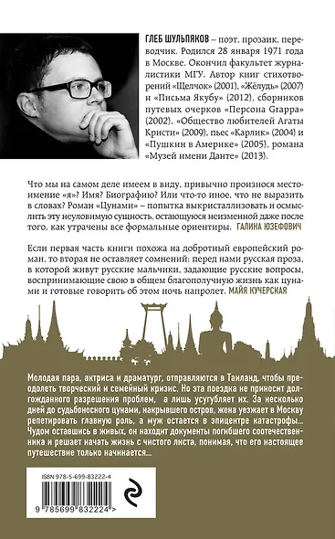 Цунами. Дневник сиамского двойника - фото 2