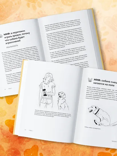 Без ошейника. Как воспитать счастливую собаку без вредных мифов и наказаний - фото 10