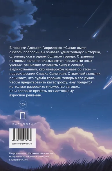 Синие лыжи с белой полосой - фото 2