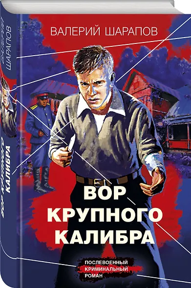Вор крупного калибра - фото 3