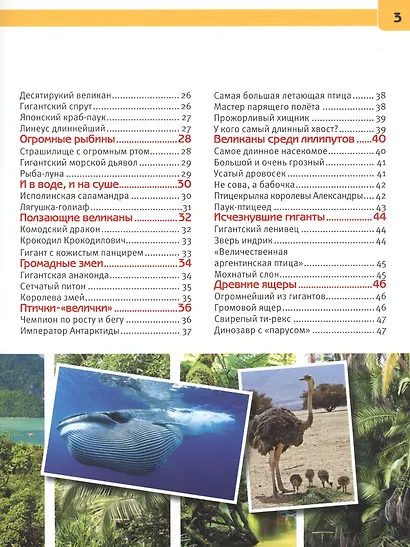Самые большие животные - фото 3