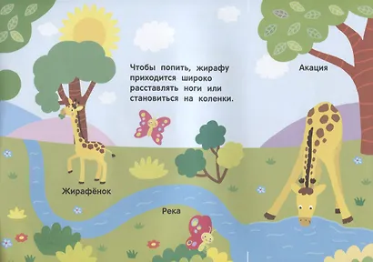 Кто живет в жарких странах? - фото 3