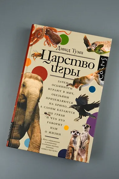 Царство игры - фото 5