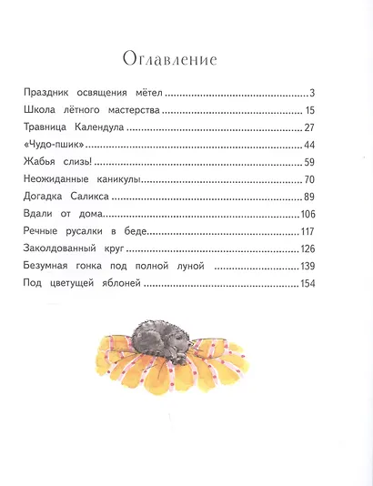 Маленькая ведьмочка Флора. Заколдованное зелье - фото 2