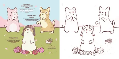 Кошки и суп. Уютная раскраска - фото 4