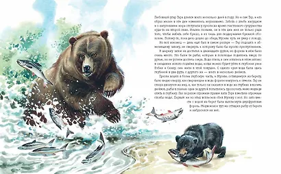Гризли (ил. В. Канивца) - фото 7