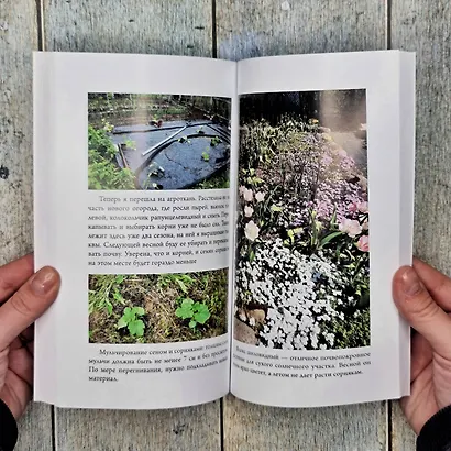 Битва за урожай. Как бороться с сорняками - фото 12