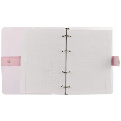 Тетрадь на кольцах в клетку InFolio, Sash, 120 листов, розовая - фото 2