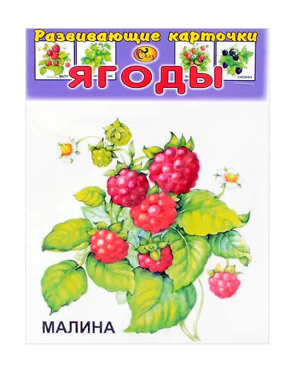 Развивающие карточки Ягоды (0+) (13 карточек) - фото 1