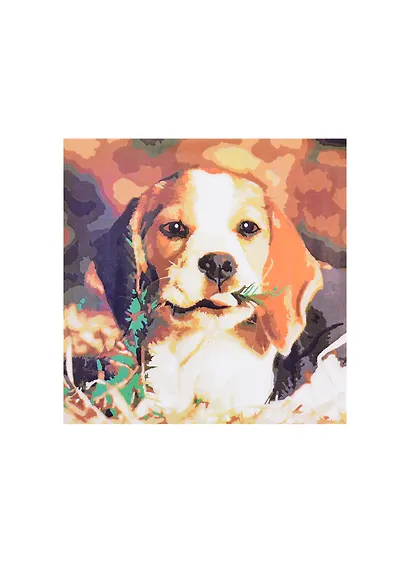 Холст с красками 20х20см по номерам, в коробке (13цв.) Биггль с веточкой  (Арт. ХК-8824) - фото 1