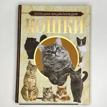 Большая энциклопедия. Кошки - фото 4