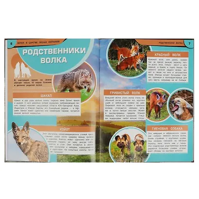 Волки. В царстве лесных охотников - фото 3