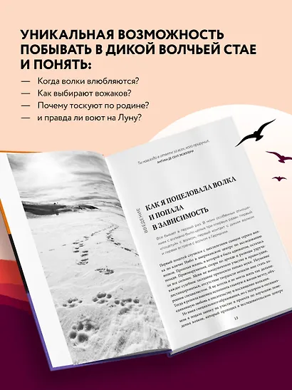 Сила волчьей стаи. Реальные истории из жизни диких хищников - фото 5