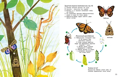 Моя первая энциклопедия в картинках - фото 7