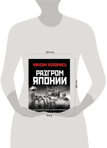 Разгром Японии. Последняя битва Второй Мировой - фото 4