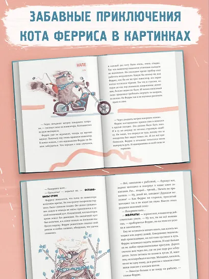 Феррис выходит из себя - фото 6