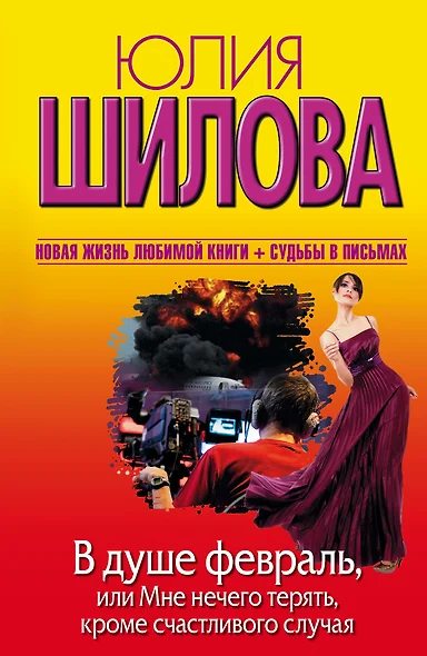 В душе февраль, или Мне нечего терять, кроме счастливого случая: роман - фото 1